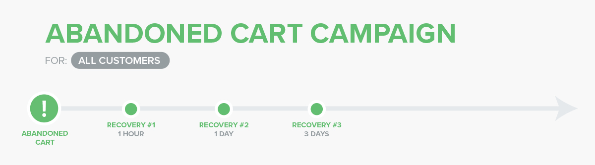 Abandoned cart email campaign