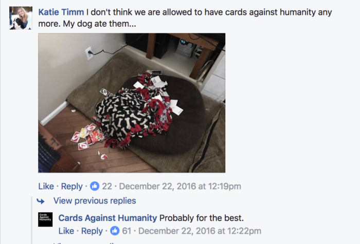 image of cards against humanity sprawled over doggy bed
