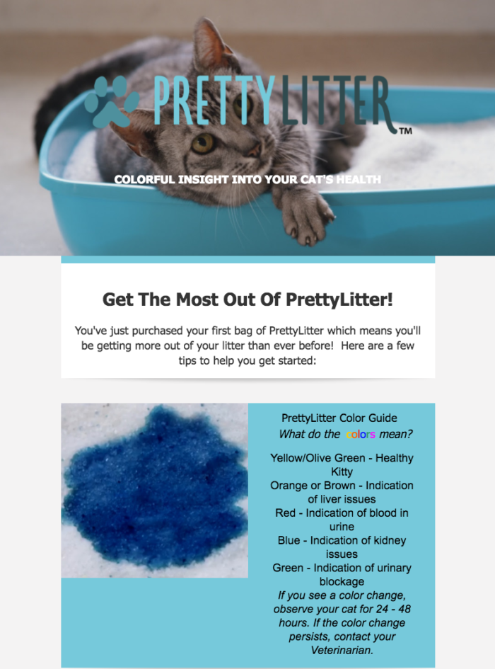 follow-up email from prettylitter